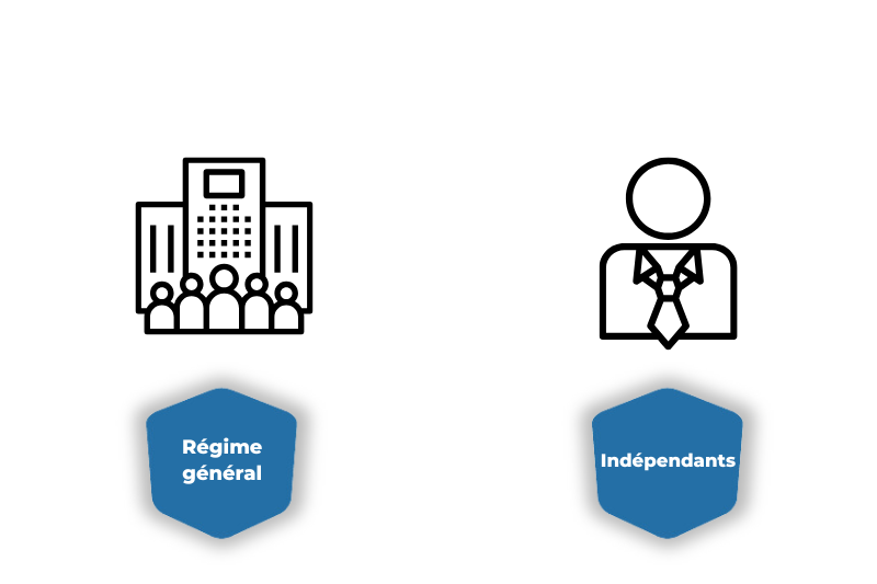 Les professionnels concern&eacute;s